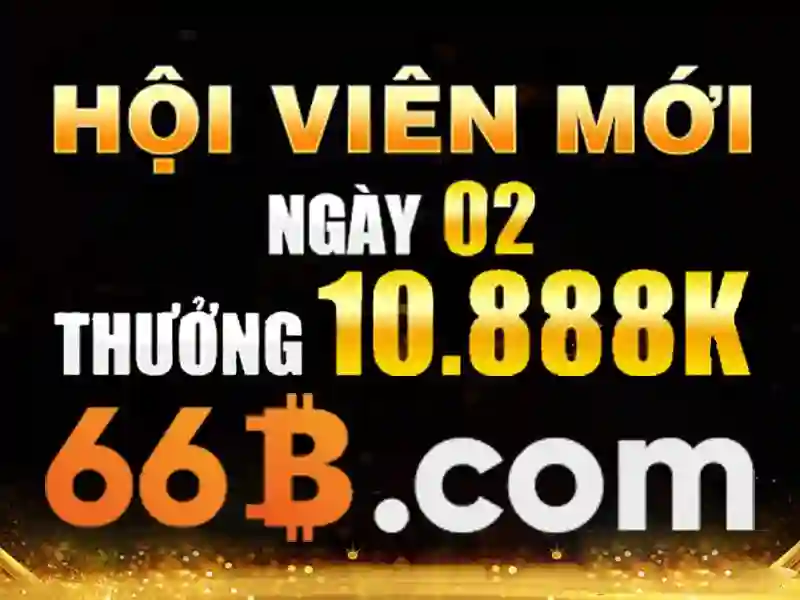 Trải nghiệm người dùng và phản hồi từ cộng đồng