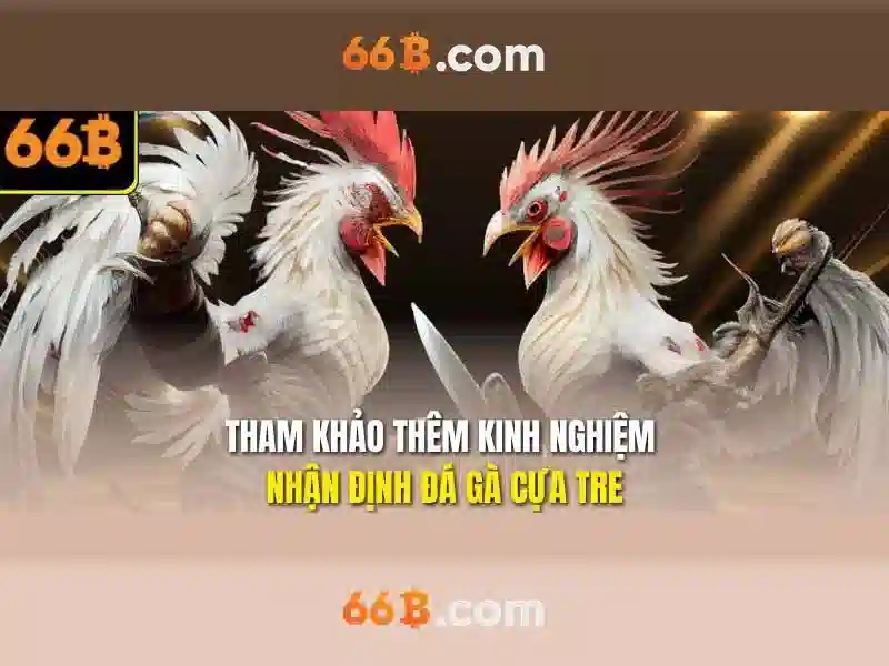 66b là gì và vì sao nó quan trọng