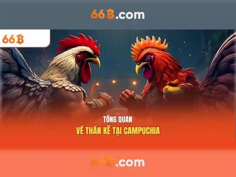 66b: Một cái nhìn tổng quan về mô hình ngôn ngữ 66b