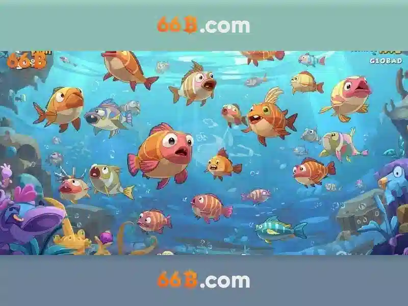 66B là gì và kích thước tham số