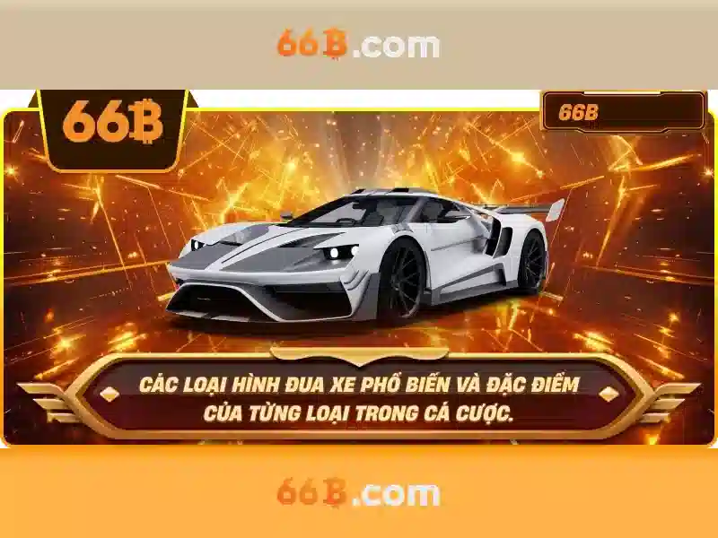 Giới thiệu về 66b
