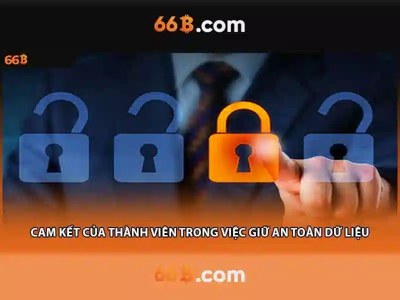 nhập code 66b: câu chuyện thương hiệu và ứng dụng