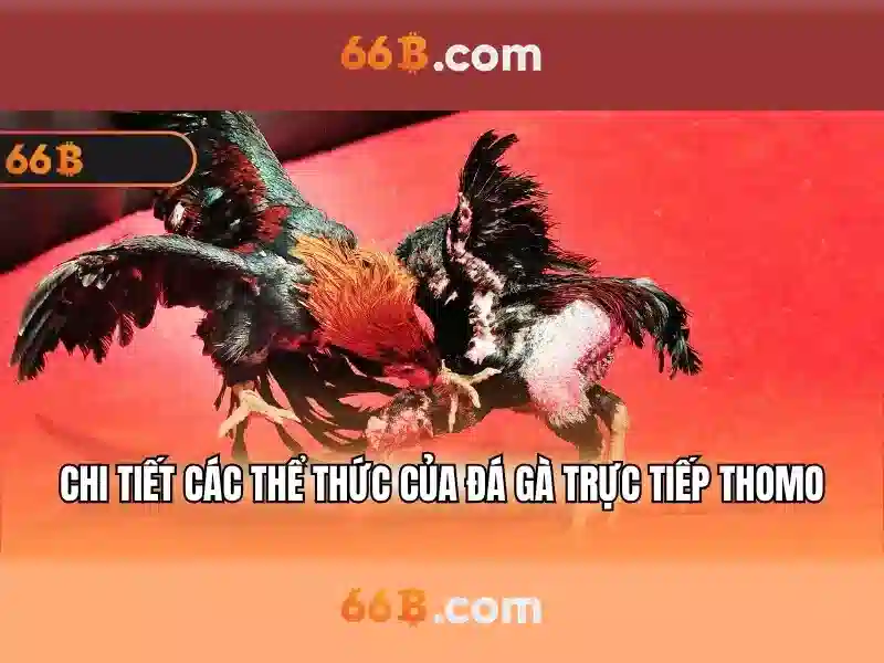 66b it act in hindi: Ứng dụng và giá trị CNTT