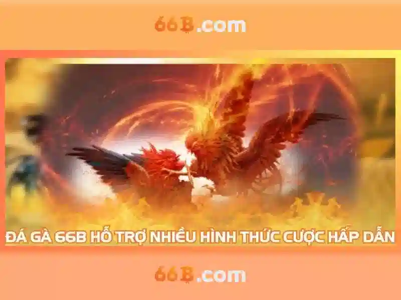 Đặc tính và loạt đặc điểm.\n\n