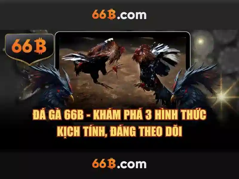 66b: Hiểu biết về một mô hình ngôn ngữ lớn