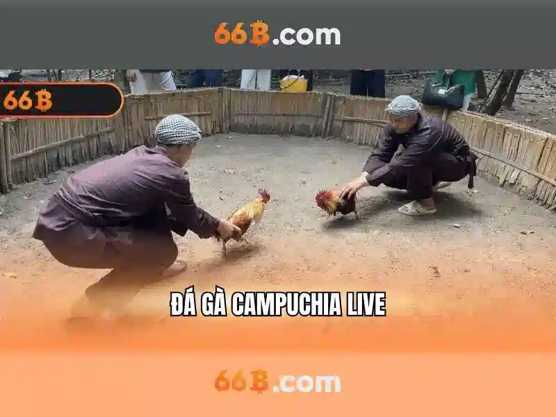 đăng ký 66b – hành trình trải nghiệm và ưu đãi