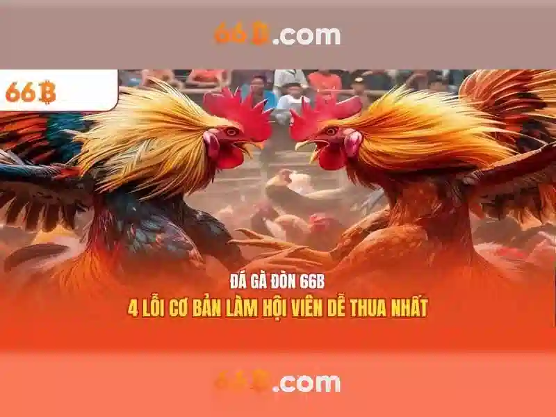 Xu hướng tương lai của 66b