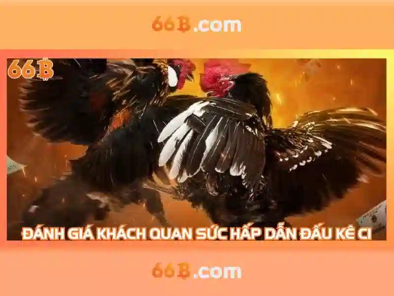 66b: định nghĩa và nguồn cảm hứng