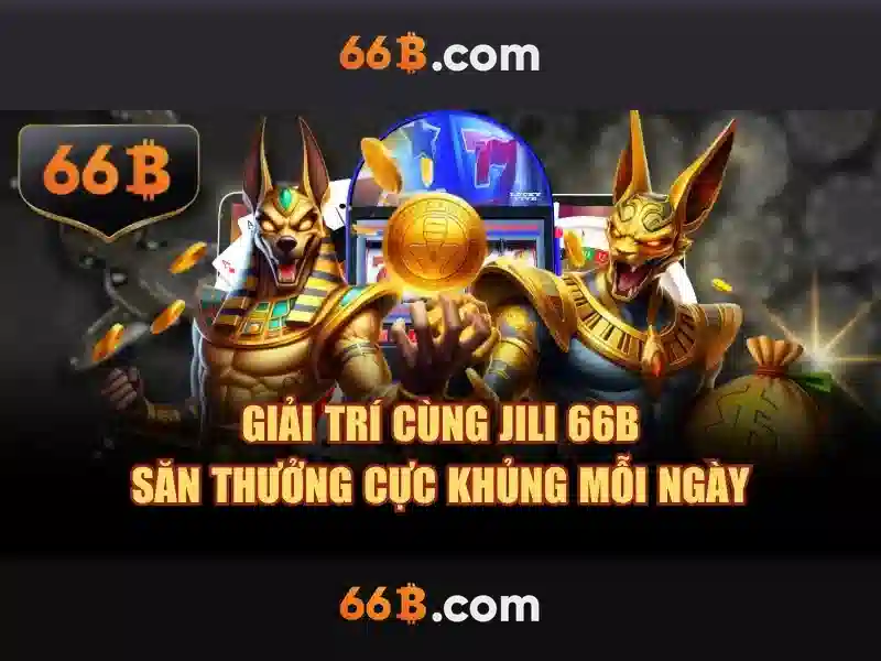 66B là gì và lý do nó quan trọng