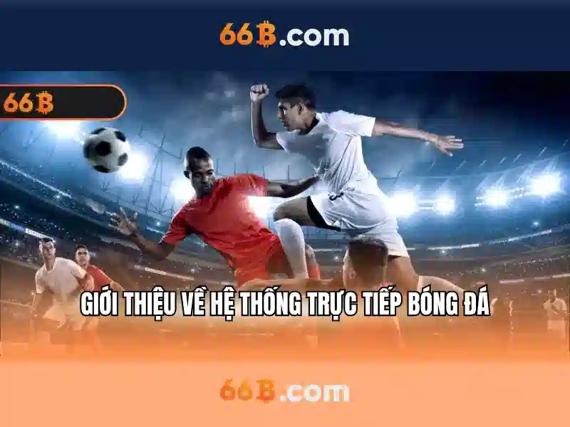 66b là gì?