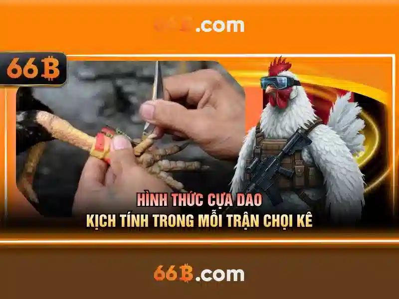 Giới thiệu về 66B