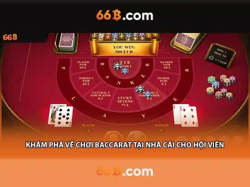 66B là gì và lý do quan trọng của nó