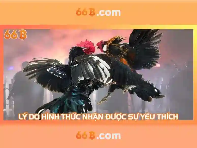 Ưu điểm và nhược điểm