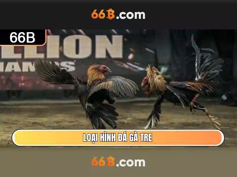 Tương lai của 66B và tầm ảnh hưởng