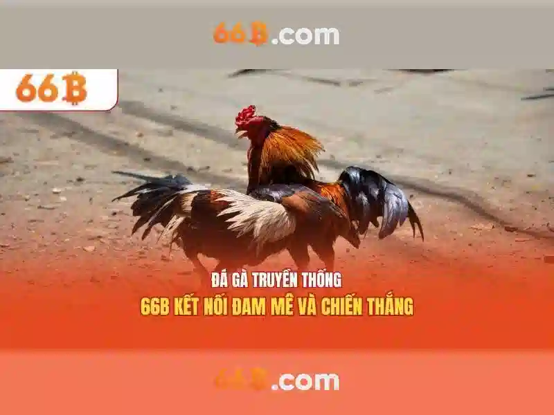 66b là gì và các ứng dụng của nó