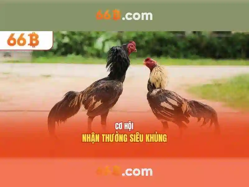 Ứng dụng của 66b