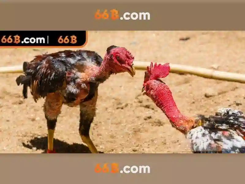 Ứng dụng và tác động