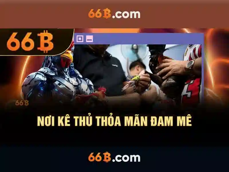 Cấu hình và Kiến trúc
