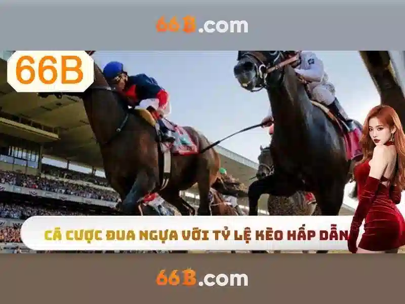 66b: một khái niệm mở và linh hoạt