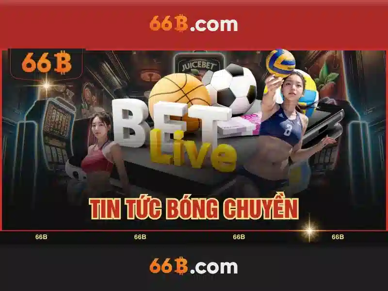 66b là gì?\n