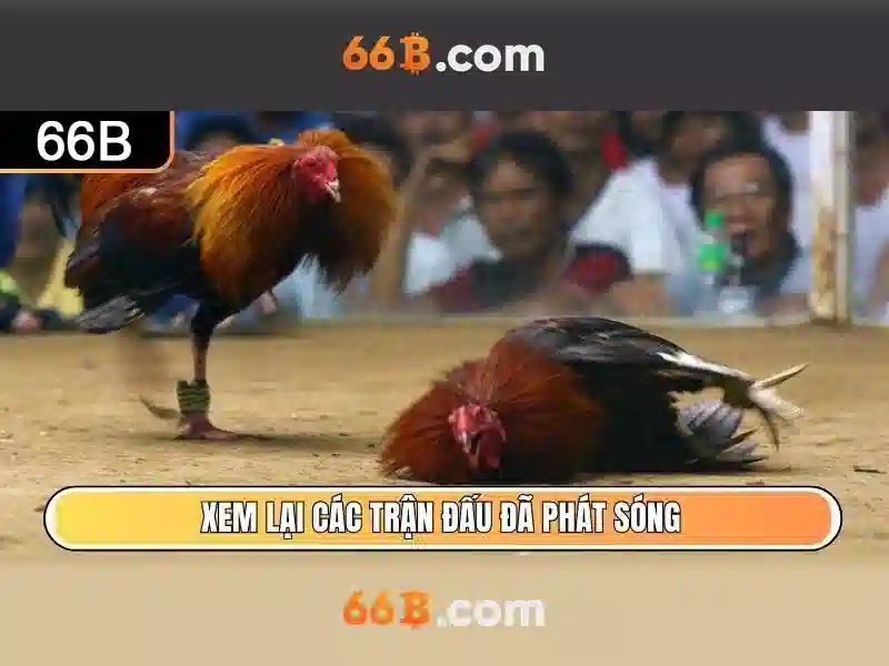 Vi du minh hoa cua 66b