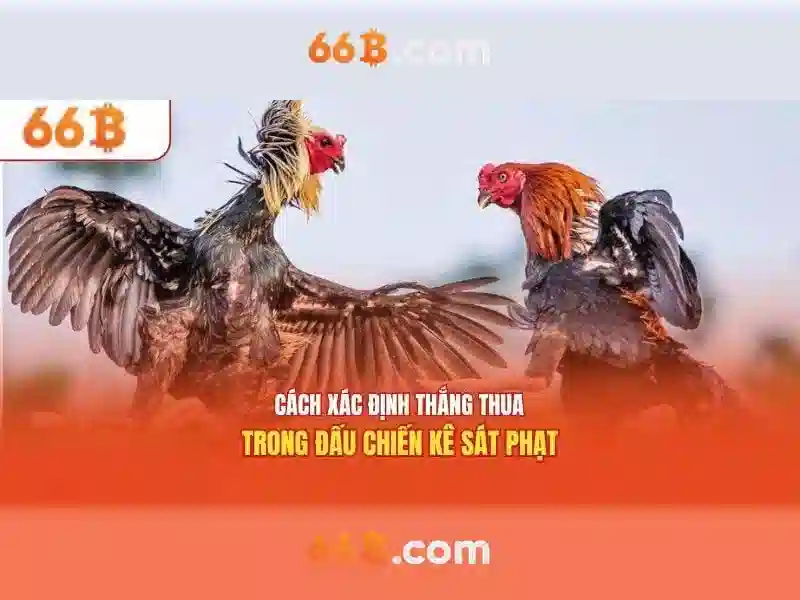 Phân tích 66b trong dữ liệu và mạng\n\n