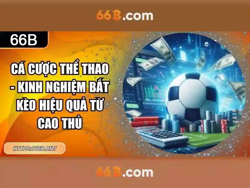 66b: Khái niệm, nguồn gốc và tầm ảnh hưởng