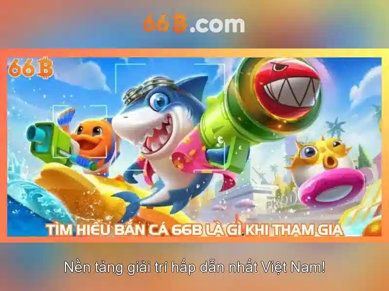 66B la gi?