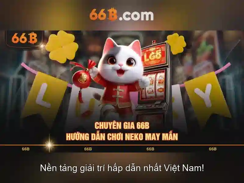 66B: Khái niệm, nguồn gốc và ứng dụng trong thời trang