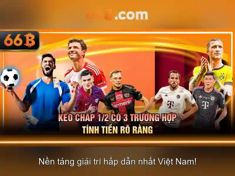 Kiến trúc và kích thước của 66B