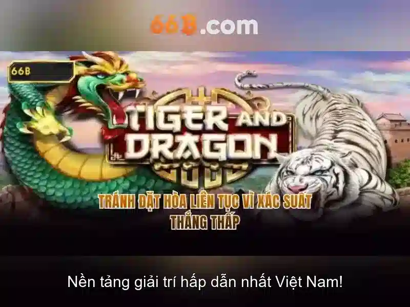 66b: một khái niệm đột phá cho tương lai