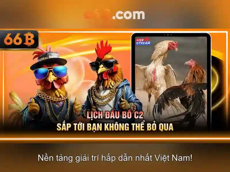 Kiến trúc và khả năng