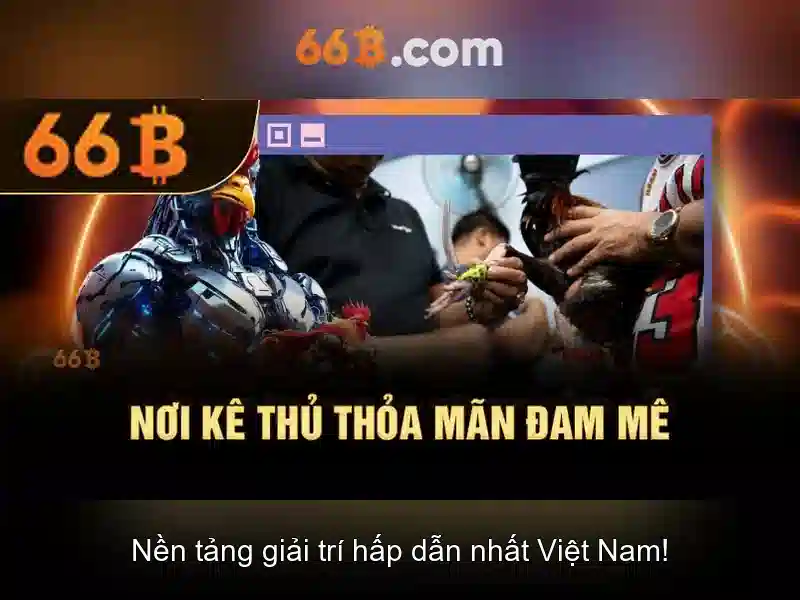 66b là một khái niệm cơ bản\n