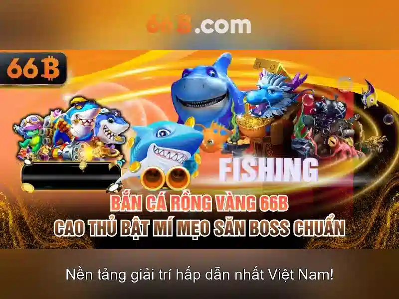 '66b như một biểu tượng của chu trình dữ liệu'