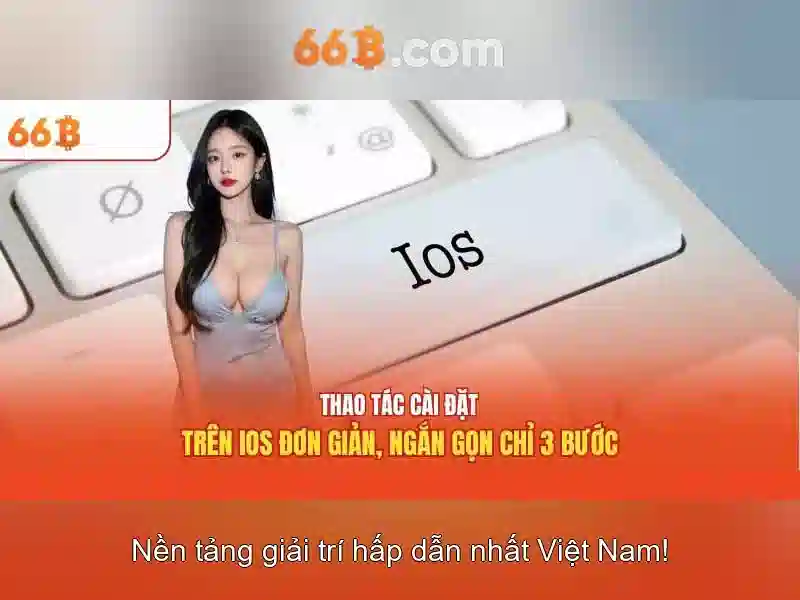 66B là gì? Tầm quan trọng và ứng dụng
