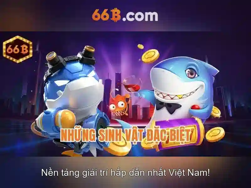 Khái niệm cơ bản của 66B