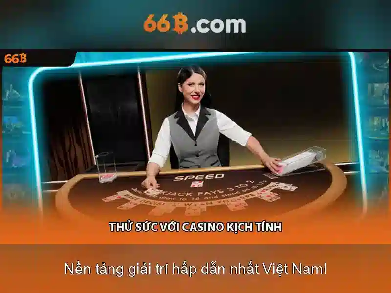 66B: Khái niệm, nguồn gốc và ứng dụng trong thời trang