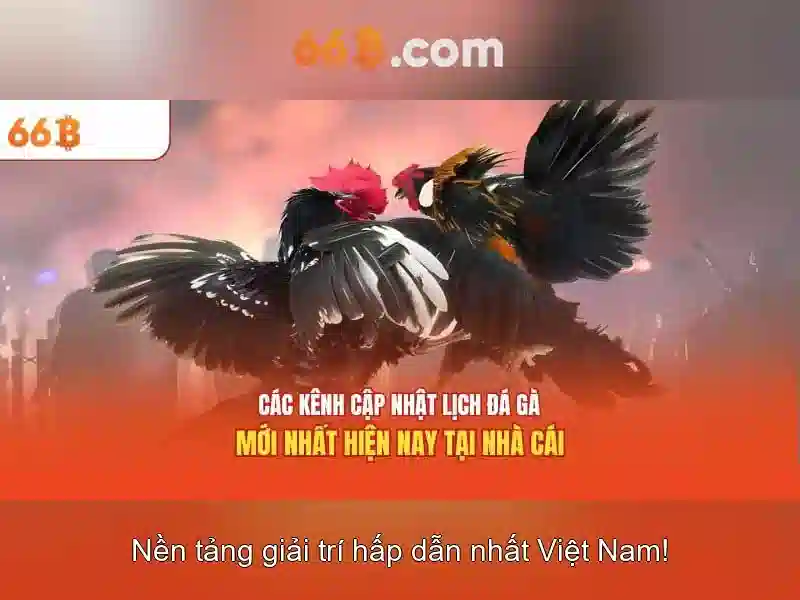 Kiến trúc và tham số