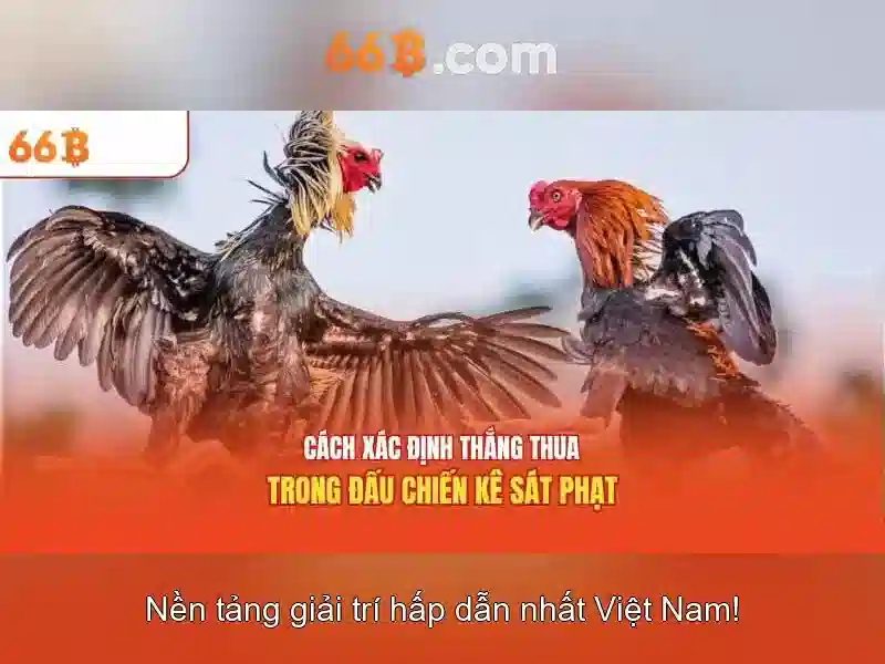 Đào tạo và dữ liệu\n