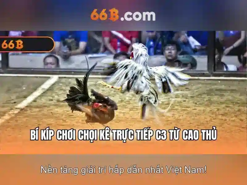 Nguồn gốc và ý nghĩa của 66b