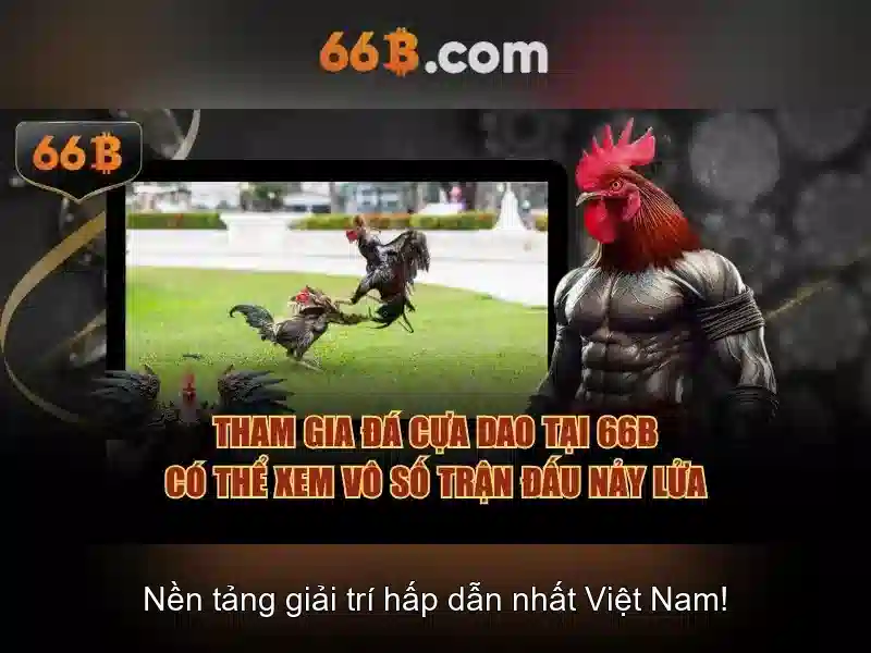 66b: khái niệm, nguồn gốc và ứng dụng