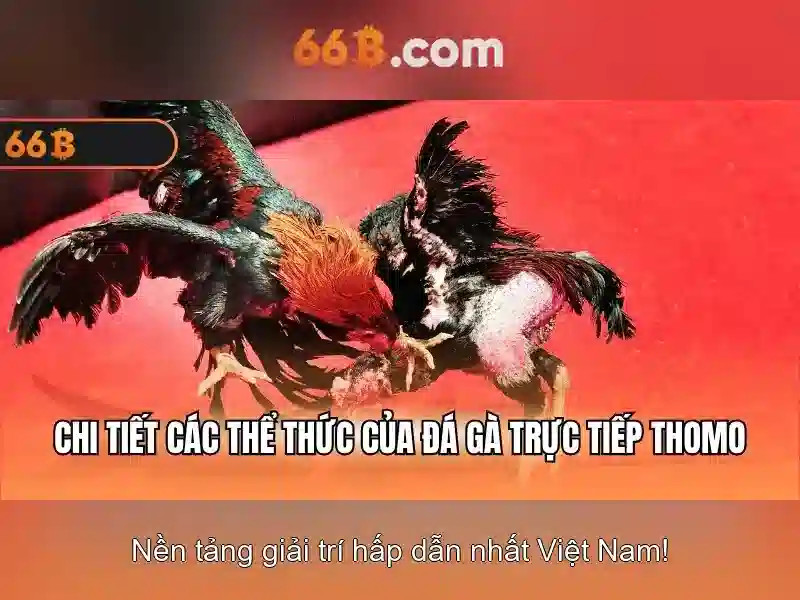66b: khái niệm, nguồn gốc và ứng dụng