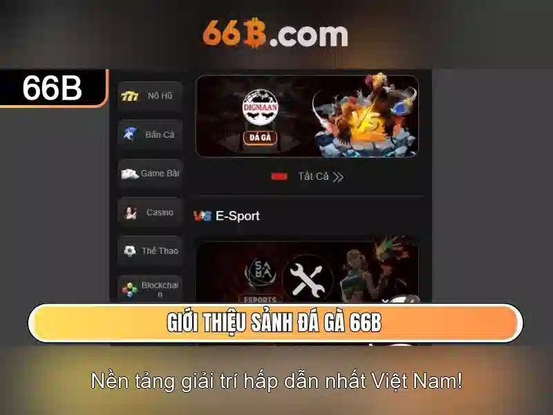 66b nguyễn sĩ sách phường 15 quận tân bình – trải nghiệm thương hiệu