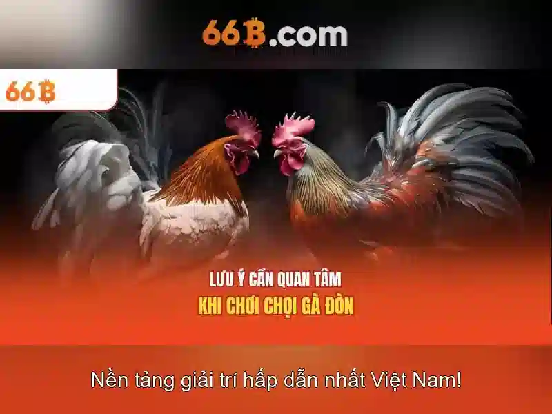 Kiến trúc và đặc điểm kỹ thuật của 66B