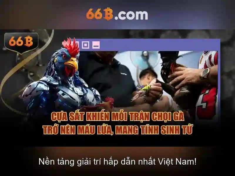 Giới thiệu về 66B\n\n