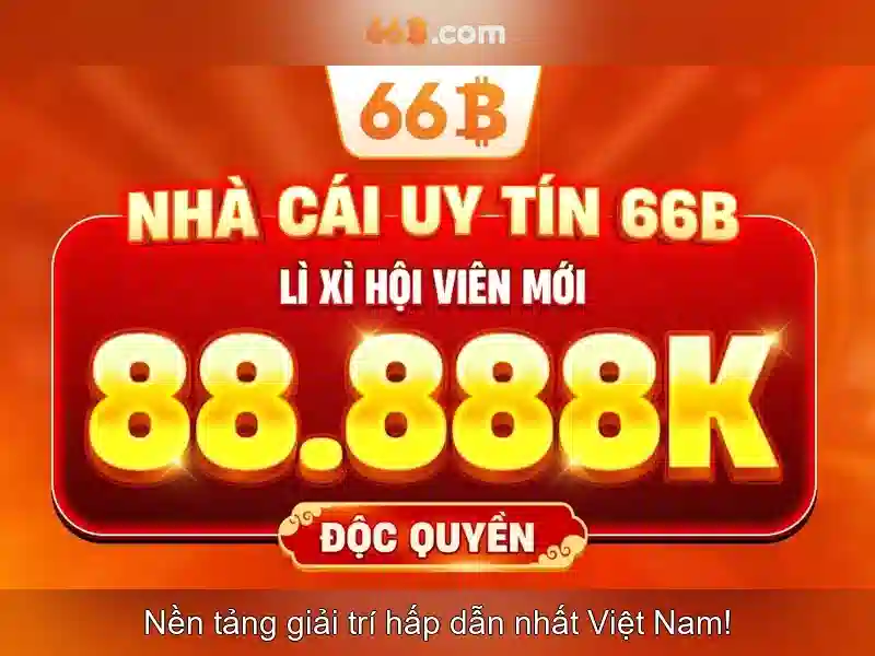 Giới thiệu về 66B