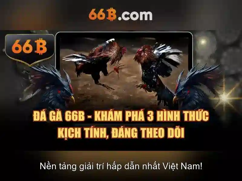 Cách 66B hoạt động\n\n