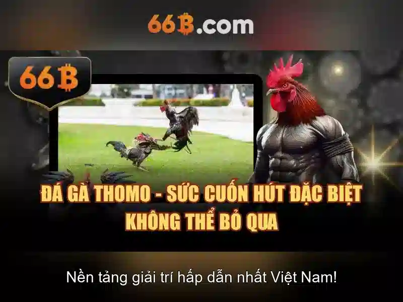 66b: Khám phá một khái niệm nổi bật trong toán học và công nghệ