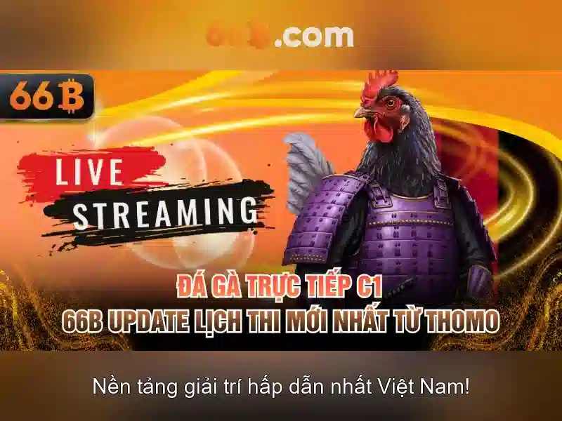 Ưu điểm và cạnh tranh