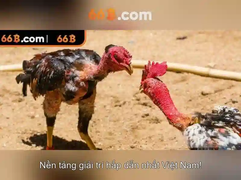 66B: Mô hình ngôn ngữ lớn 66B và tương lai của AI